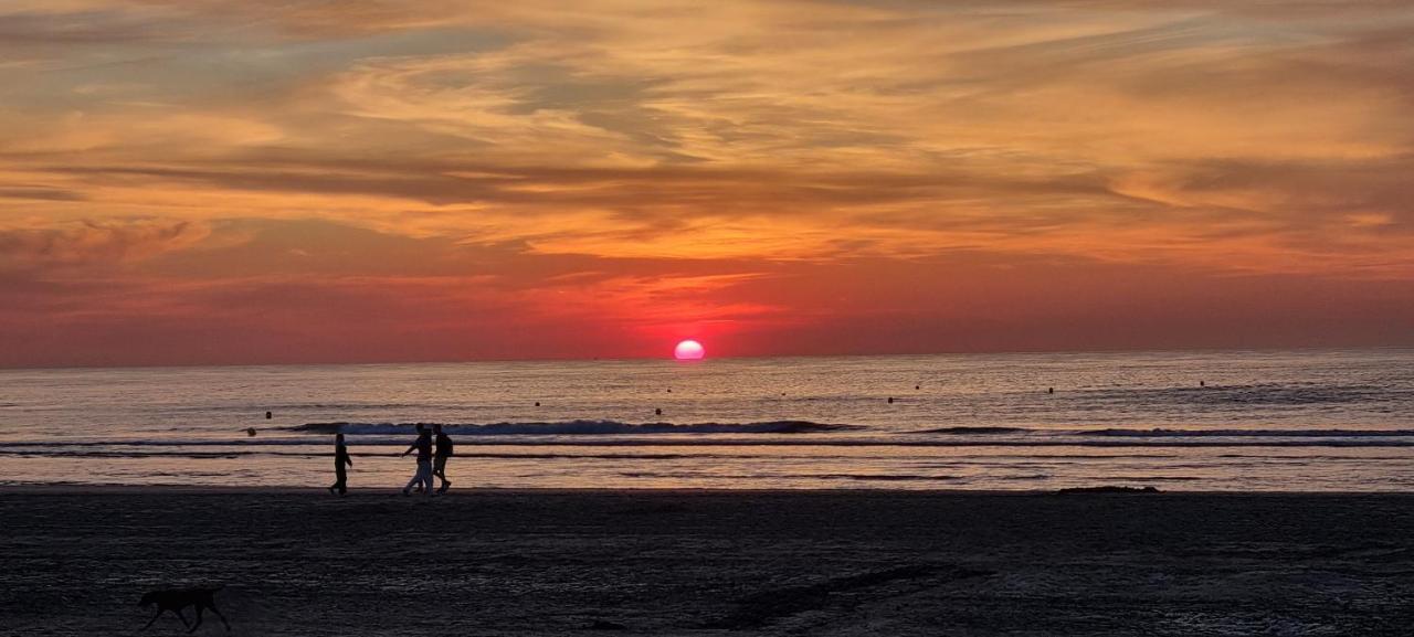Superbe Studio Avec Une Magnifique Vue Sur La Mer. De Panne Buitenkant foto